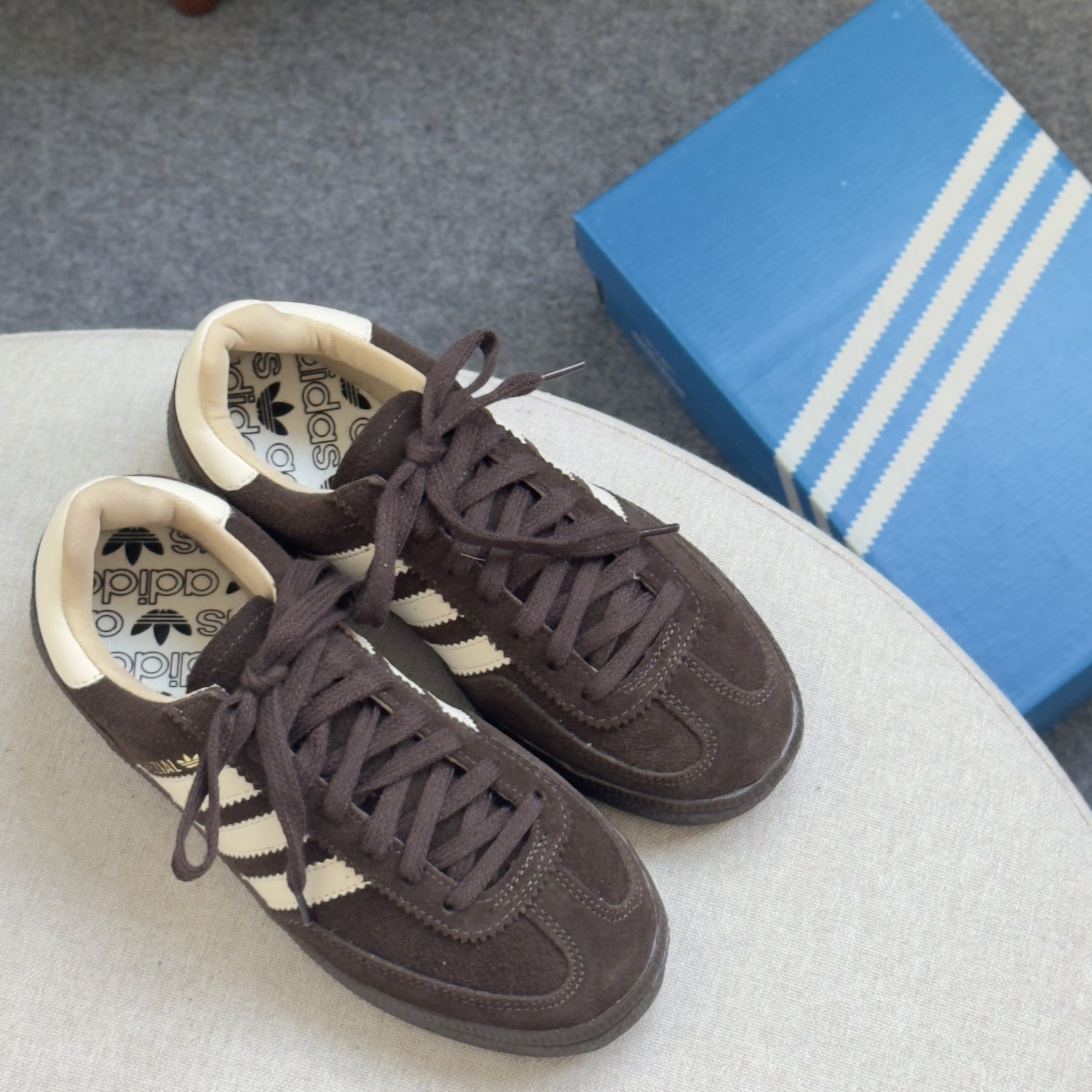 Adidas Spezial Café Feminino